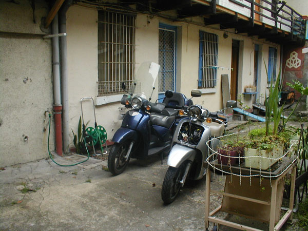 2 scarab avant G